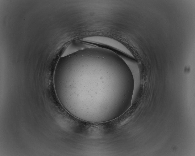 X0000091660599200708231308