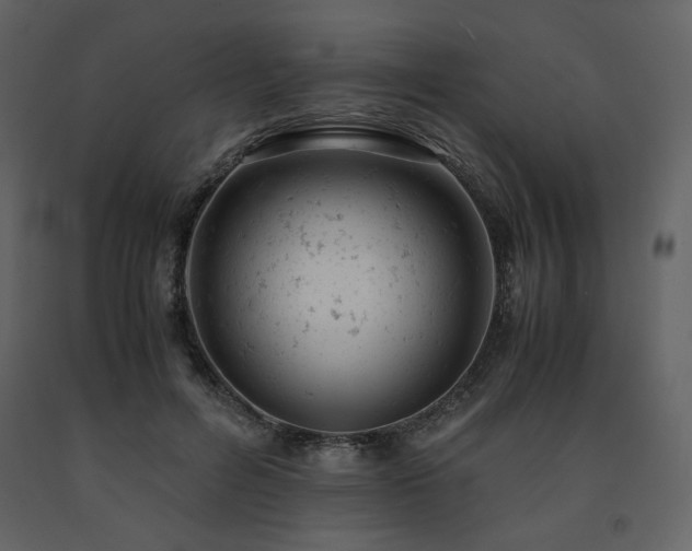X0000091660600200708231308