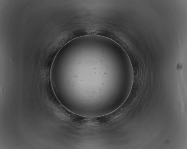 X0000091660601200708231308