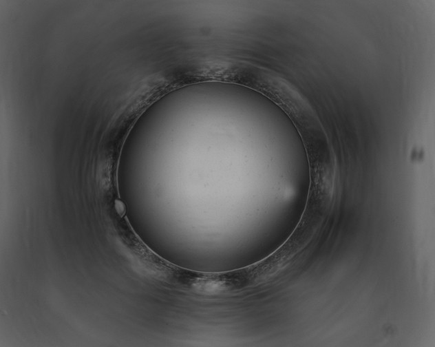 X0000091660602200708231308