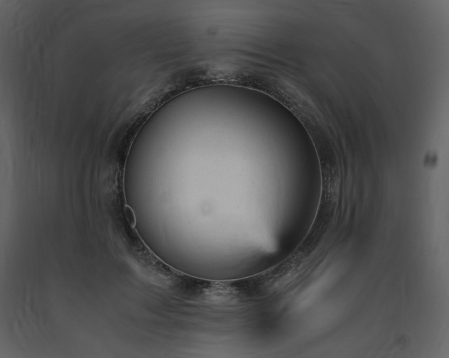 X0000091660603200708231308