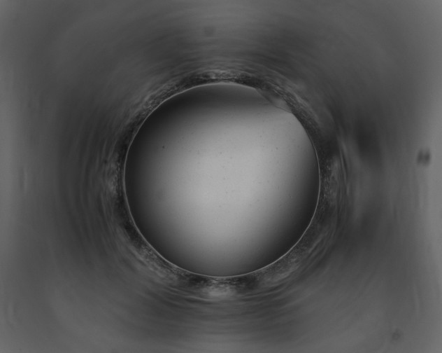 X0000091660604200708231308