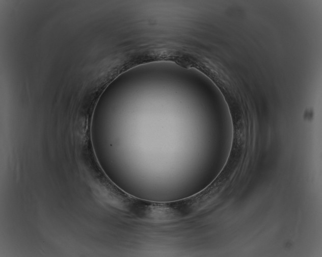 X0000091660605200708231308