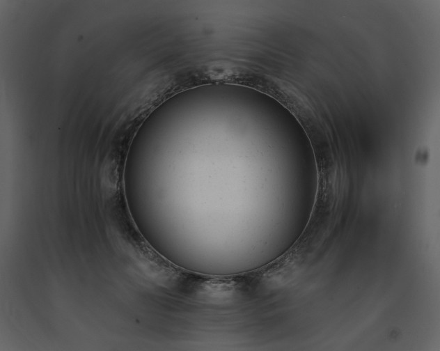 X0000091660606200708231308