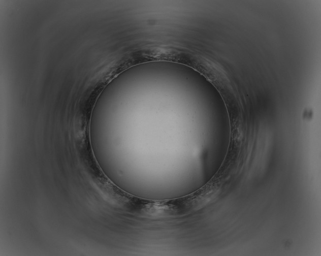 X0000091660607200708231308