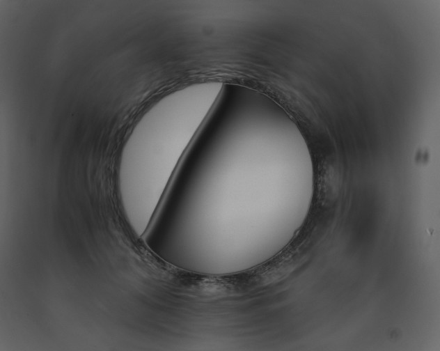 X0000091660608200708231307