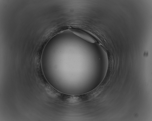 X0000091660609200708231307