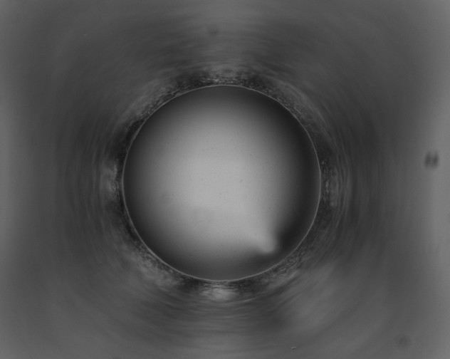 X0000091660610200708231307