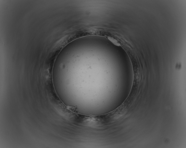 X0000091660611200708231307