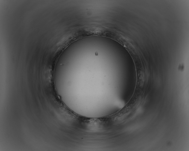 X0000091660612200708231307