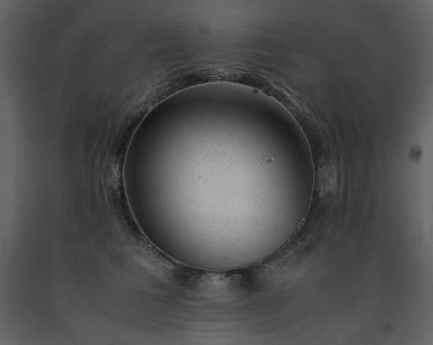 X0000091660613200708231307