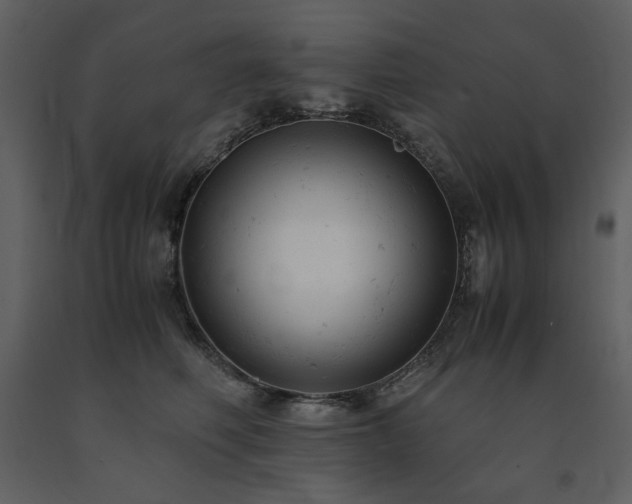 X0000091660614200708231307