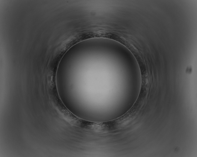 X0000091660615200708231307