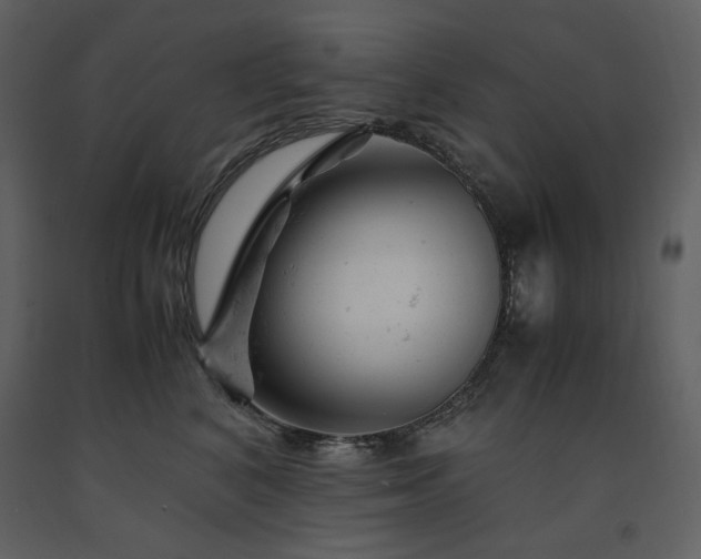 X0000091660616200708231307