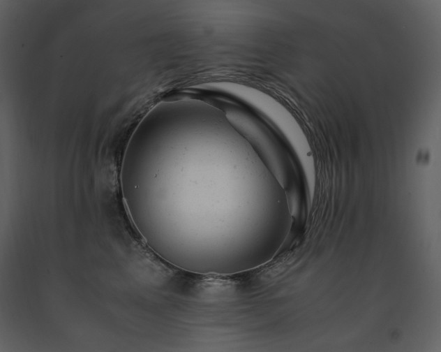 X0000091660617200708231307