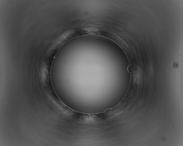 X0000091660618200708231307
