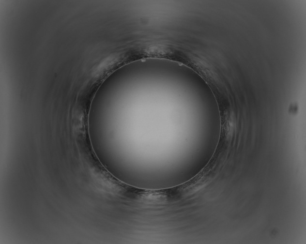 X0000091660619200708231307