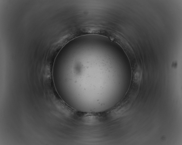 X0000091660620200708231307