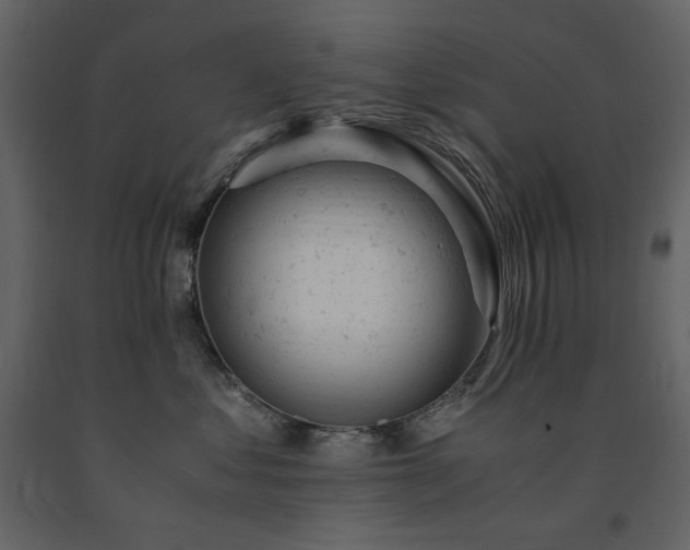 X0000091660621200708231307