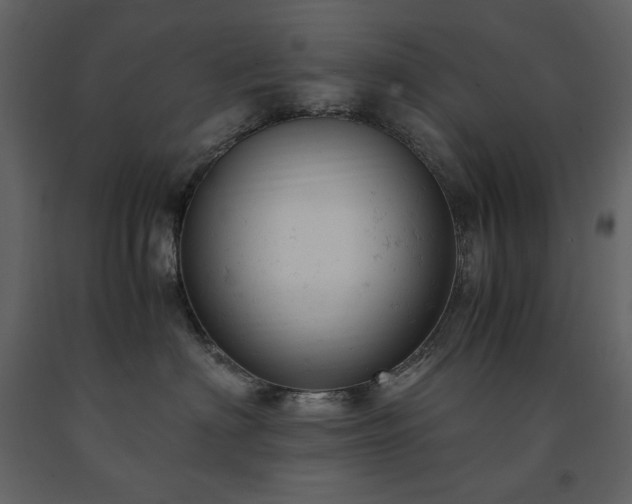 X0000091660622200708231307
