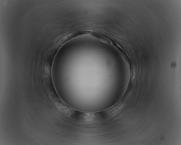 X0000091660623200708231307