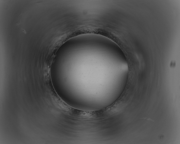 X0000091660624200708231307