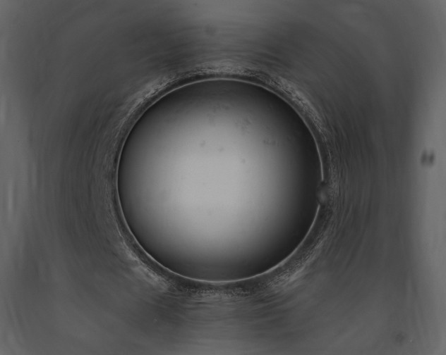 X0000091660625200708231307