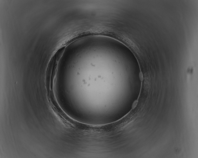 X0000091660626200708231307