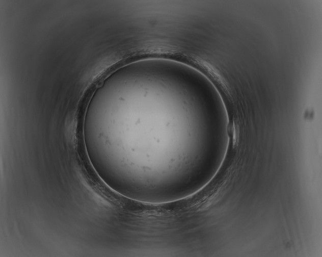 X0000091660627200708231307
