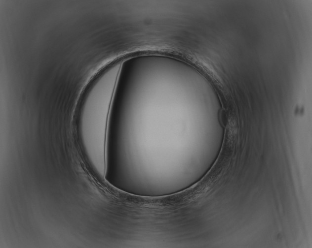 X0000091660628200708231307