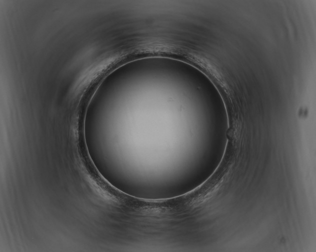 X0000091660629200708231307