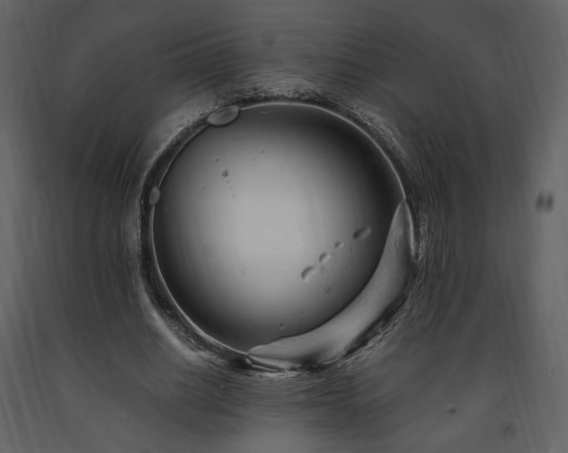 X0000091660630200708231307