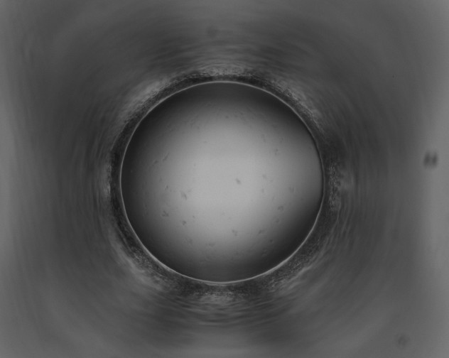 X0000091660631200708231307