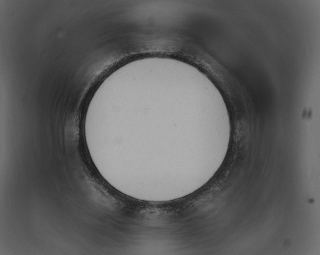 X0000091660632200708231307