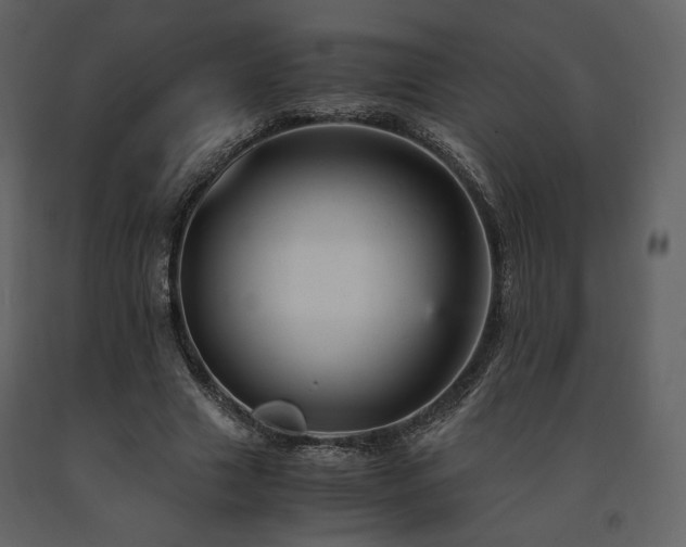 X0000091660633200708231307