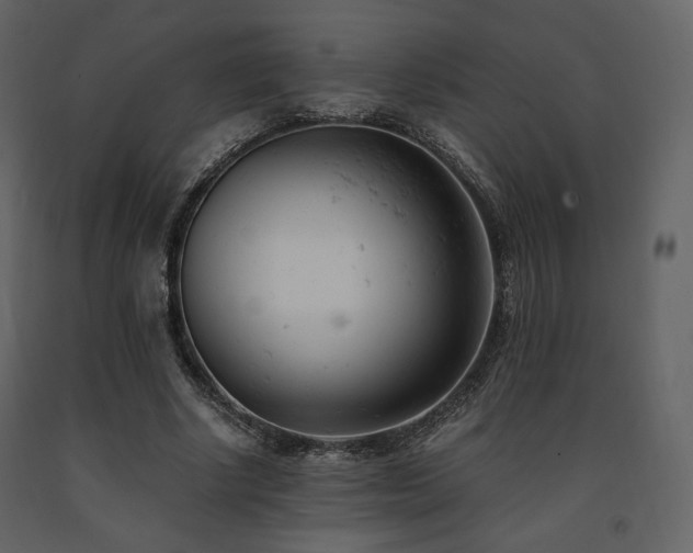 X0000091660634200708231307