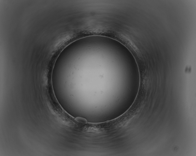 X0000091660635200708231307