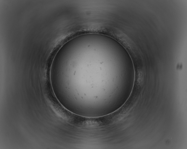 X0000091660636200708231307