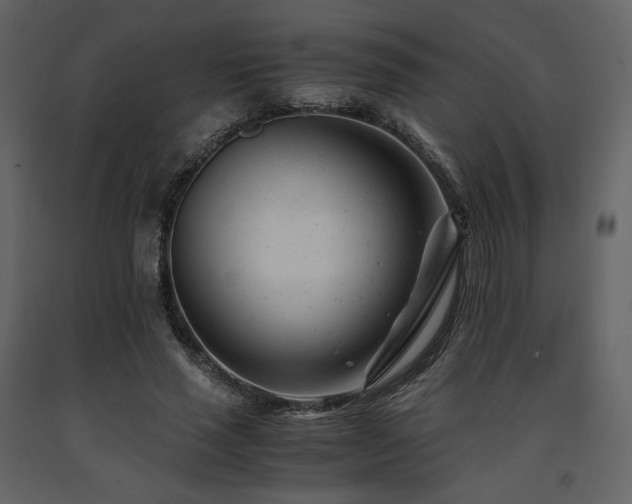 X0000091660637200708231307