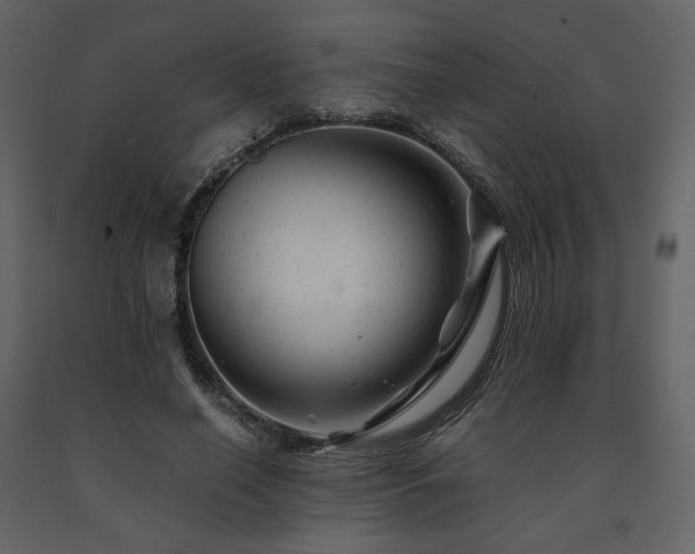 X0000091660638200708231307