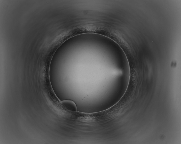 X0000091660639200708231307