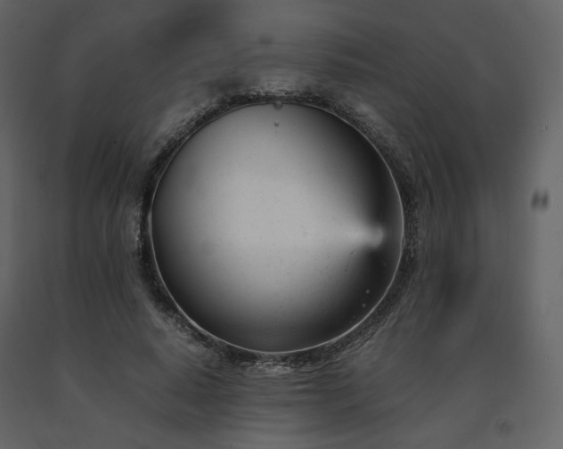 X0000091660640200708231307