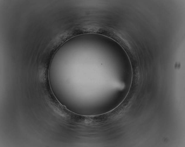 X0000091660641200708231307