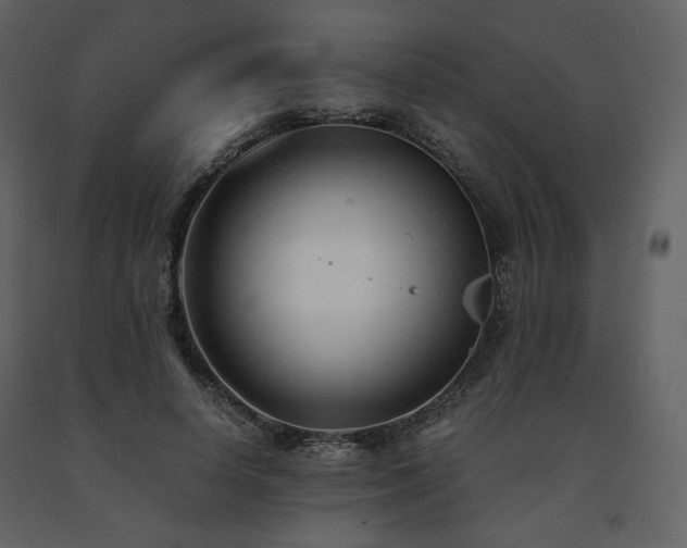 X0000091660642200708231307