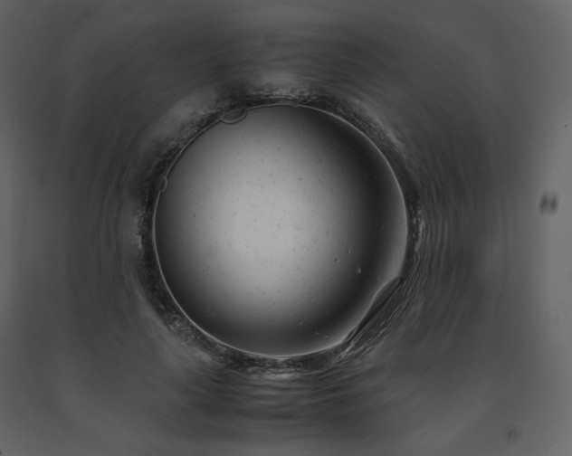 X0000091660643200708231307