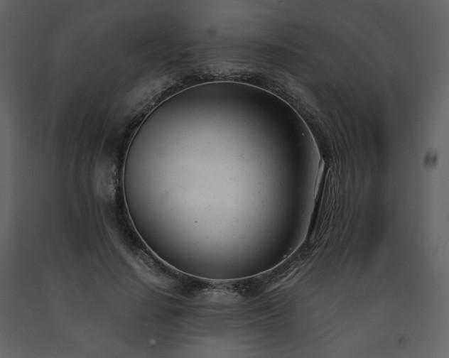 X0000091660644200708231307