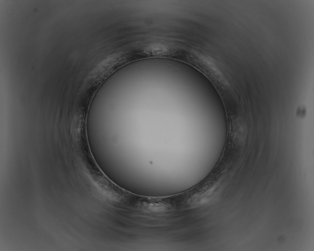 X0000091660645200708231307