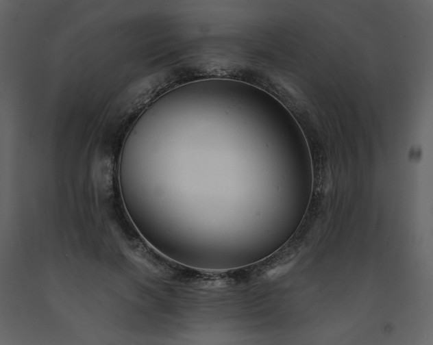 X0000091660646200708231307