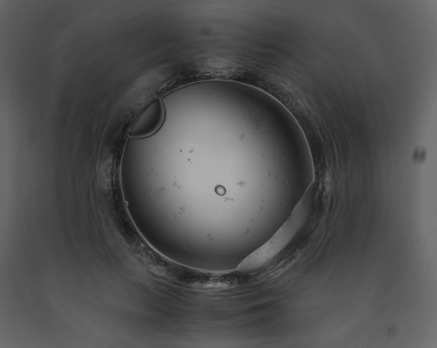 X0000091660647200708231307