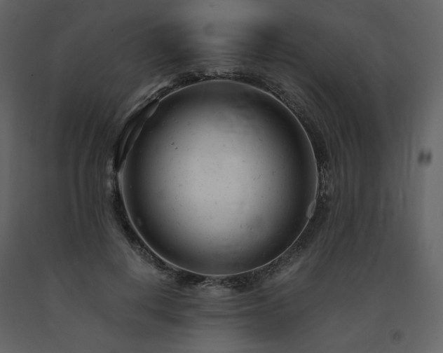 X0000091660648200708231307